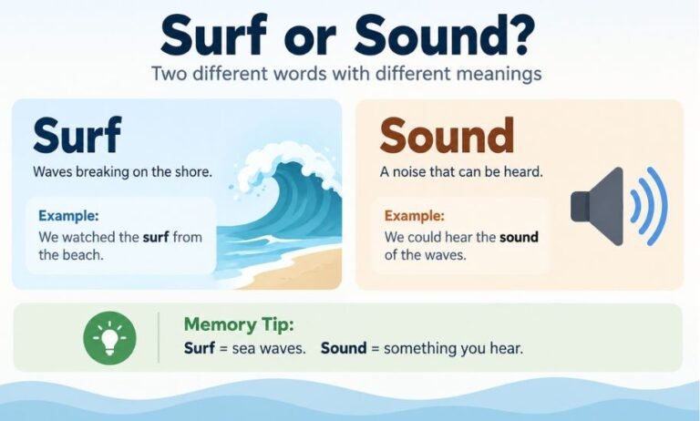 Surf or Sound