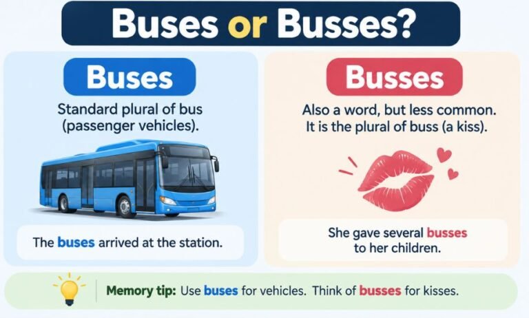 Buses or Busses