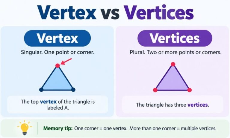 Vertex vs Vertices