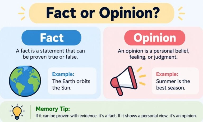fact or opinion