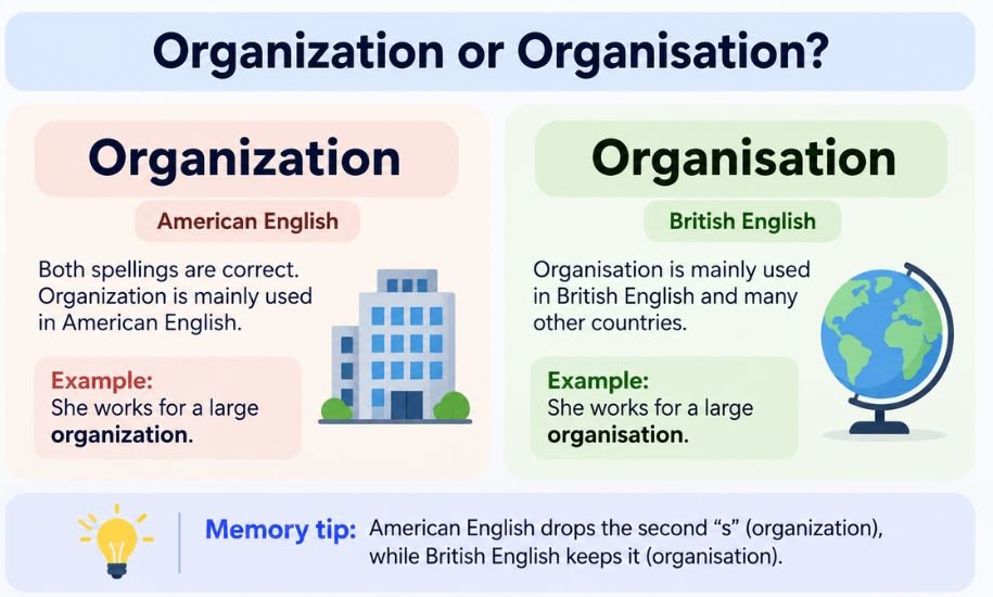 organization or organisation